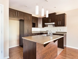 347 Rue Sylvio-Mantha Photo 3