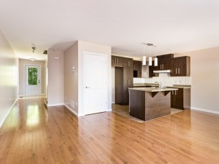 347 Rue Sylvio-Mantha Photo 5